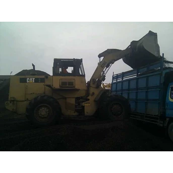 Cangkang Sawit ( Palm Kernel Shell )