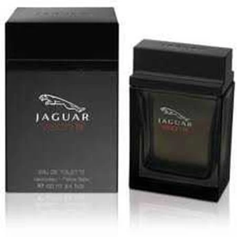 Jaguar, Vision III Man