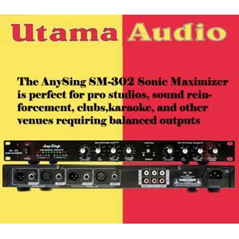 AnySing SM-302 processor untuk meningkatkan suara vocal dan suara music karaoke