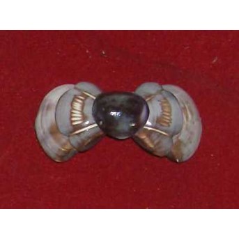 Hairclip Made From Shell Cut Around / Penjepit Rambut Kerang Bentuk Pita Dari Kerang Conus