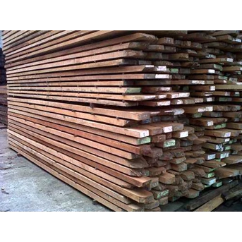KAYU DUREN BURUNG