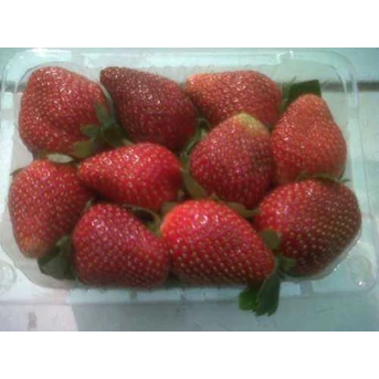 Strawberry Organic kemasan 300gr