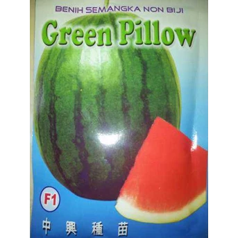 Benih Semangka Non Biji Bulat Daging Merah andalan Petani Hibrida ( F1 ) Green Pillow