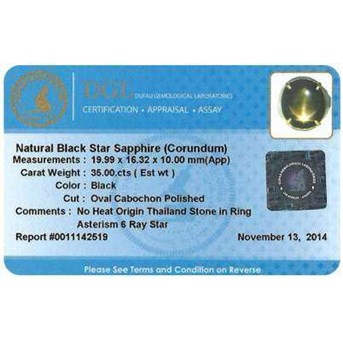 Elegant Black SAFIR Sharp Star TOP ( BSG 021)