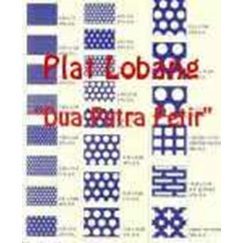 perforated plate / screen plate / perforated sheet-1