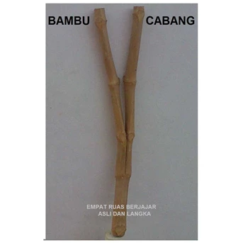 Bambu Cabang