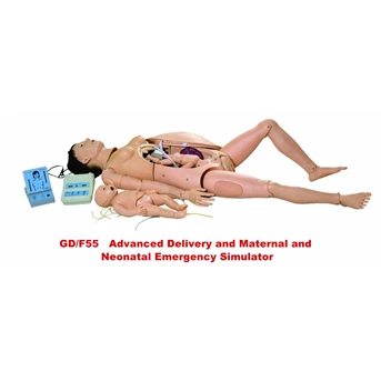 Manikin kebidanan ( GD/ F55 Maternal & Neonatal Delivery Emergency Simulator) alat peraga pendidikan