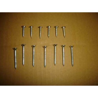 Tapping Screw