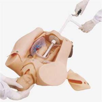 Manikin Kebidanan