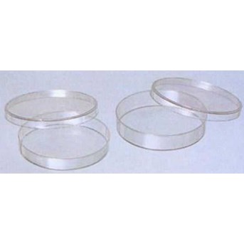 Bacterial Petri Dish
