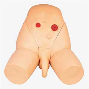 GD/ H17E Catheterization Training Simulator( Male)