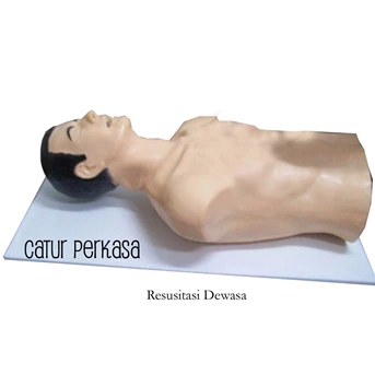 Resusitasi dewasa ( CPR setengah badan) Silikon