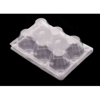 Tray Telur, egg tray pet