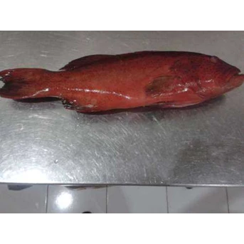 Kerapu Merah / Frozen Red Grouper