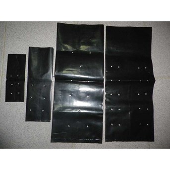 Polybag termurah dan terlengkap