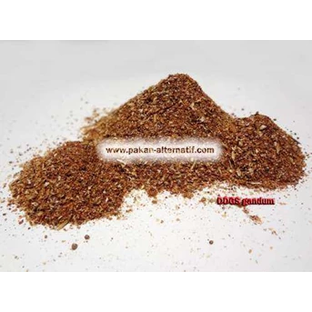 DDGS ( Dried Distillers Grain with Soluble)