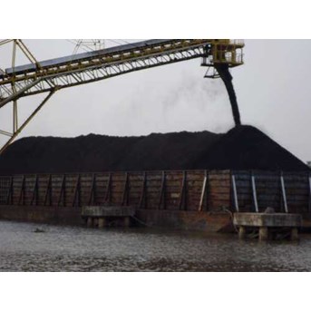 High Grade Coal ( Batu Tua)