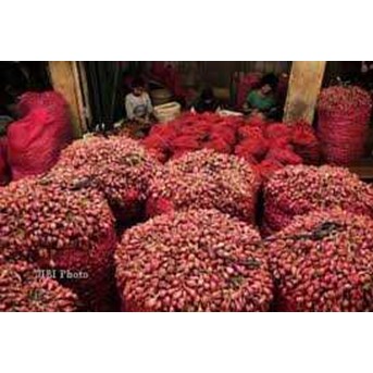BAWANG MERAH BREBES