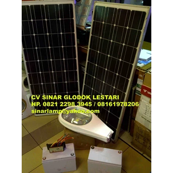 Lampu PJU Solar Cell 30W Panel Surya 80WP