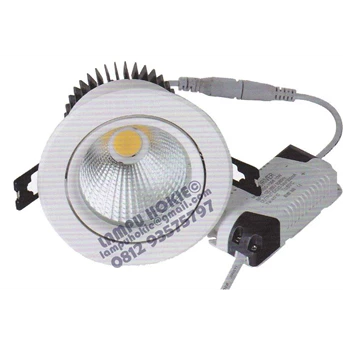 Down Light LED Cob warna White & Warm White