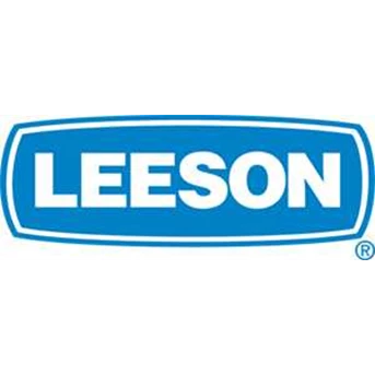Inverter Leeson : Service | Repair | Maintenance