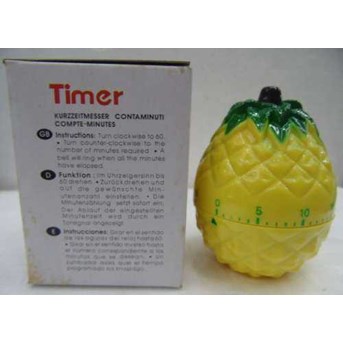 TIMER MODEL NANAS