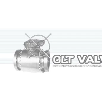 GLT Valve Indonesia