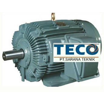 TECO INDUCTION MOTOR EX. TAIWAN