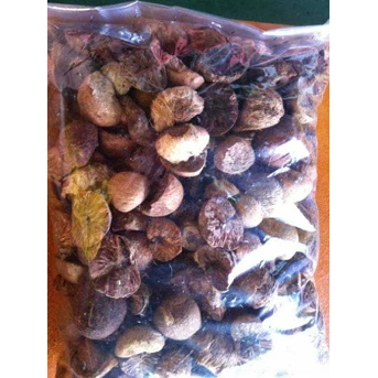 Betel Nut or Pinang