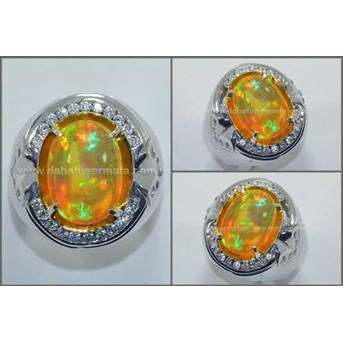 Exclusive Hot Honey Colour KALIMAYA. Crystal Mulus - OP 040