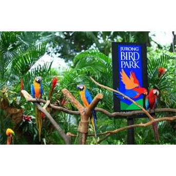 Tiket Bali Bird Park