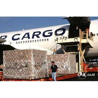 customs clearance import dan borongan