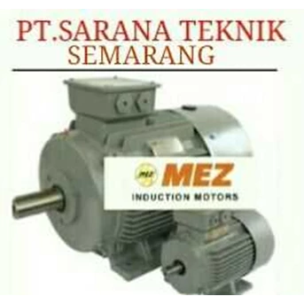 Mez / SIEMENS Electric Motor