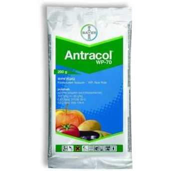 insectisida antracol 70 wp