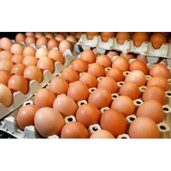 Telur Ayam Negri