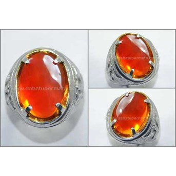 Golden Orange Cempaka RAFLESIA Bengkulu, Koclak Berair - RLS 025