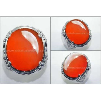 TOP Red RAFLESIA Super BIG Size ( RLS RLS 032 )