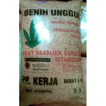 Benih Padi Unggul Way Apoburu