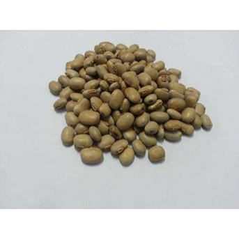 Kacangan MC ( Mucuna Conchinchinensis )