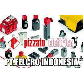 Pizzato-Elettrica-Indonesia