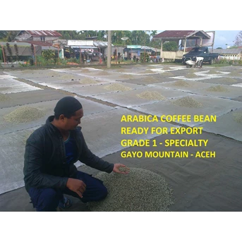 Kopi Arabika Aceh Gayo - Biji