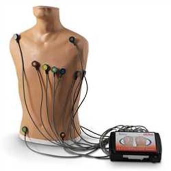 Life/Form® 15-Lead ECG Placement Trainer