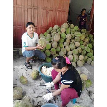 Daging durian Beku Medan