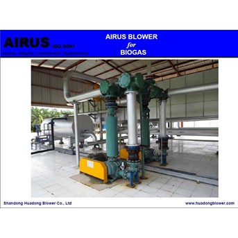 AIRUS biogas roots blower