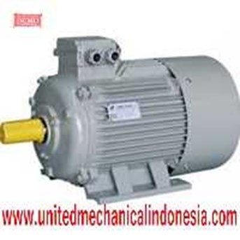 Induction Motor