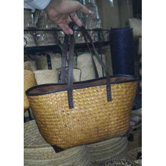 Tas Purun TND2
