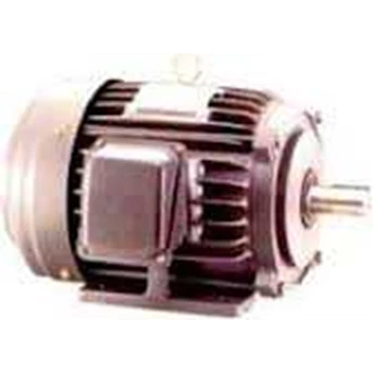 induction Motor LM