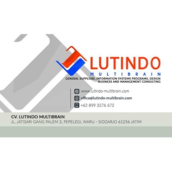 WEBSITE - CV LUTINDO MULTIBRAIN - 