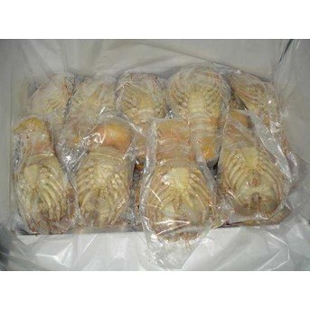 Udang Kipas Beku