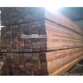 Kayu Kempas
